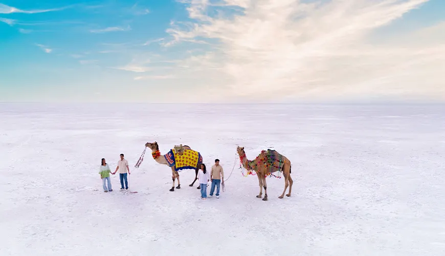 Rann of Kutch (White Desert), Gujarat